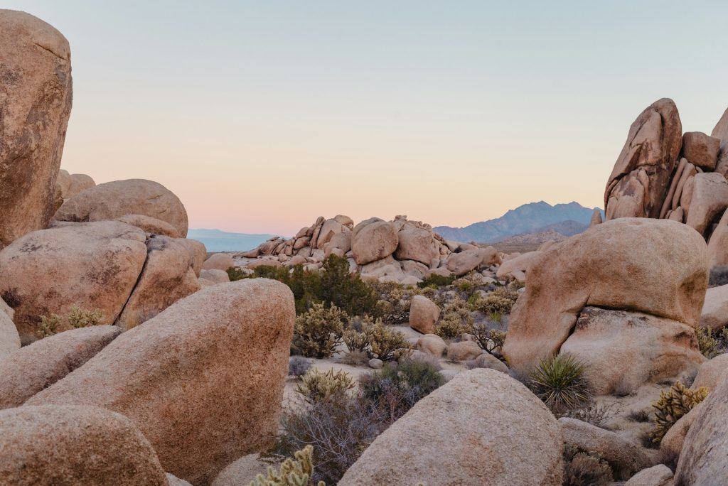 The Transformative Power of Deserts: Lessons from Barren Landscapes