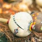 The Impact of Indigenous Cultures on Environmental Stewardship