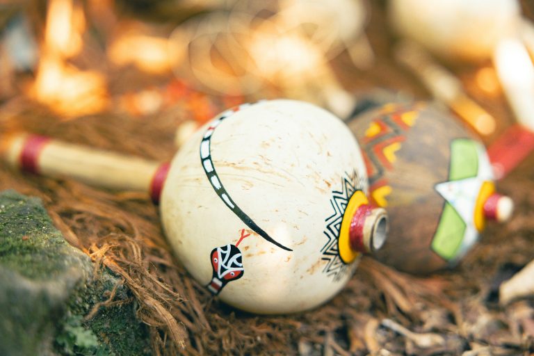 The Impact of Indigenous Cultures on Environmental Stewardship