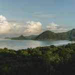 The Transformative Power of Islands: Lessons from Isolated Communities